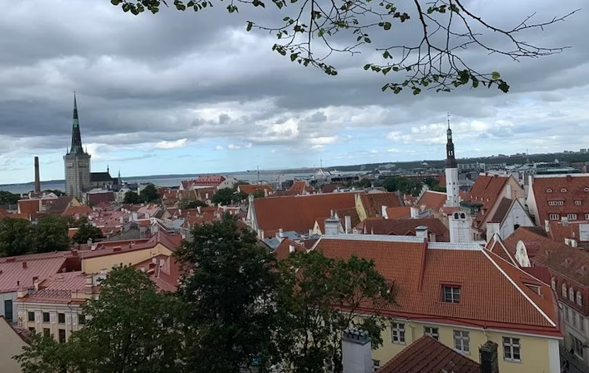 Helsinki to Tallinn guided tour with round trip cruise tickets - Image 5
